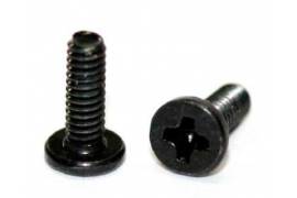 Phillips Screw M2x4 mm.