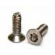 Screws Torx M2x8 mm T6