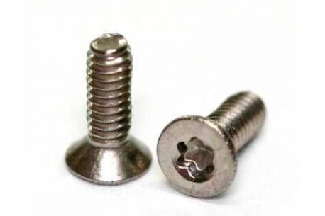 Screws Torx M2x8 mm T6