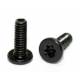  Torx  Screw M2 x 4 mm. 