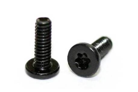  Torx  Screw M2 x 4 mm. 