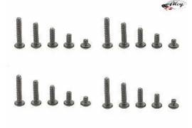 Titanium special round and low head Allen screw set.