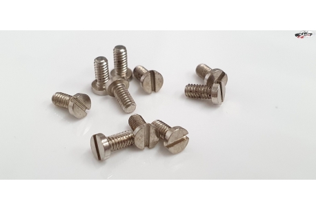 Engine locking screw M2x4 mm