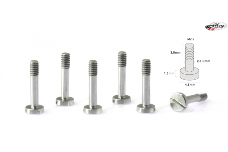 Body screws M2.2 x 11 mm Aluminum