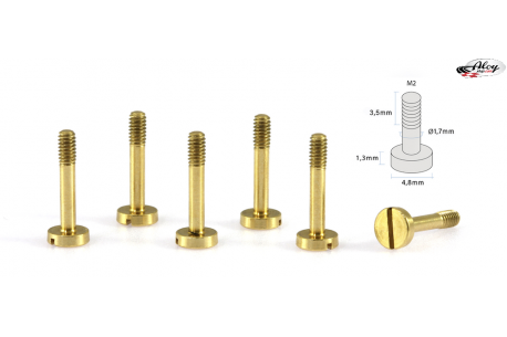 Special suspension screws  M2x11 mm