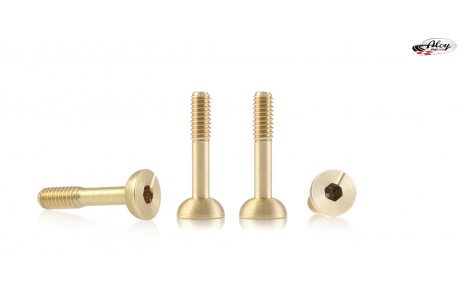 Screws for Suspensions 4mm Ø x 9.5 mm Ball Head