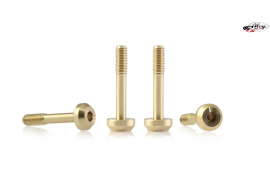 Screws for Suspensions 4,5mm Ø x 11.5 mm Round Flat Head