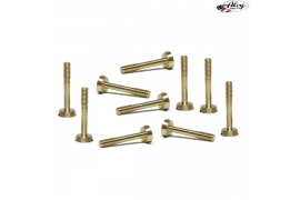 Brass screws 2.2 x 13 mm long head.